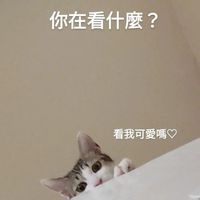 幽靈的小賣部>⁠.⁠<yuling