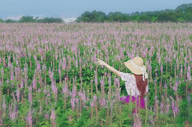 ▲圖片來源：IG@3more_hi4