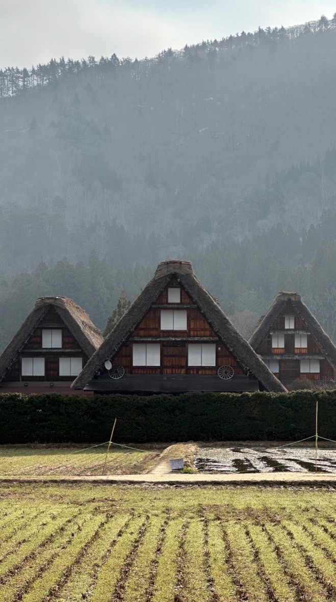 喵爸喵媽5群旅遊優惠