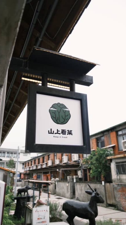 山上看菜⛰️😎🥬｜蘭陽原創館
