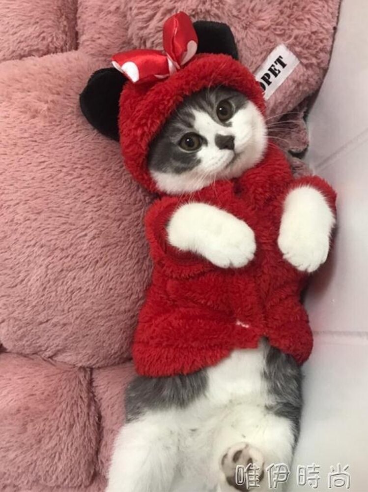 寵物衣服 ?可愛貓咪衣服秋冬裝加厚小貓幼貓狗狗寵物英短無毛貓藍貓加菲女 唯伊時尚