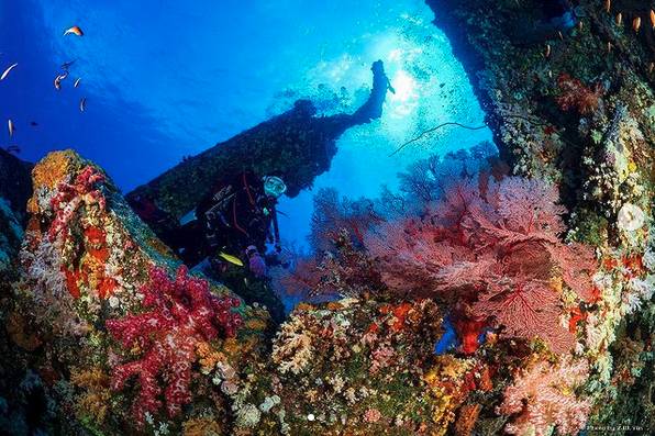 圖片來源：IG @z.w_yin_underwater