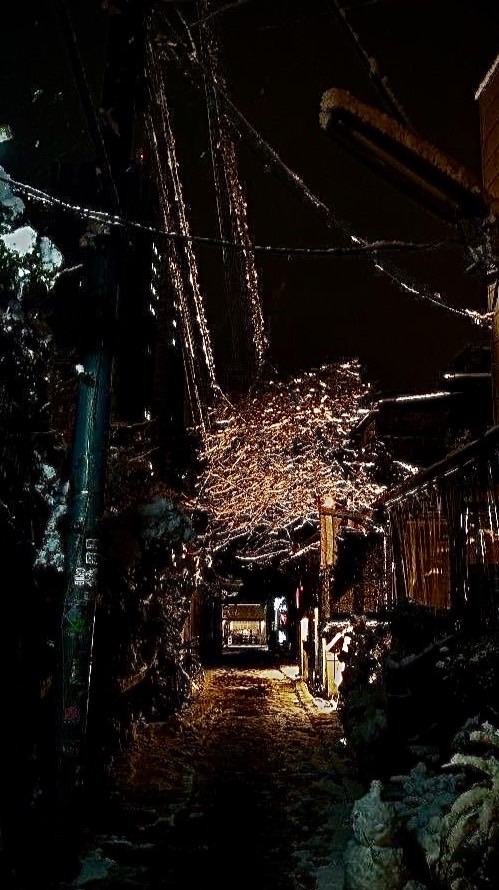 灯影<#/ﾎｶｹﾞ>の宿‧✧̣̥̇‧