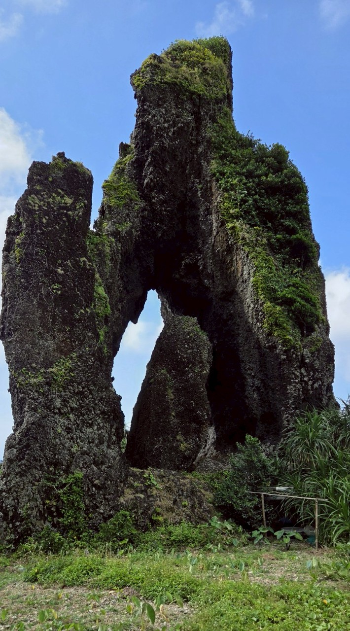 🐻㊅㊐去哪裡都行 🐻(熊熊 .愛旅行)