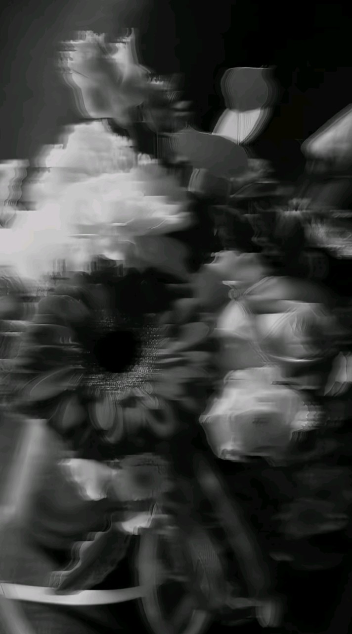 　　　　𝐒𝐩𝐞𝐜𝐢𝐚𝐥 𝐊𝐢𝐬𝐬