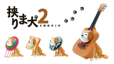 超萌的卡頭柴犬推出2代囉！卡在吉他、衛星裡的超ㄎㄧㄤ柴犬，認真讓人融化啦～