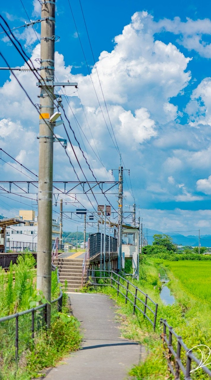 雑談、歌枠、ライトしよかぁー！