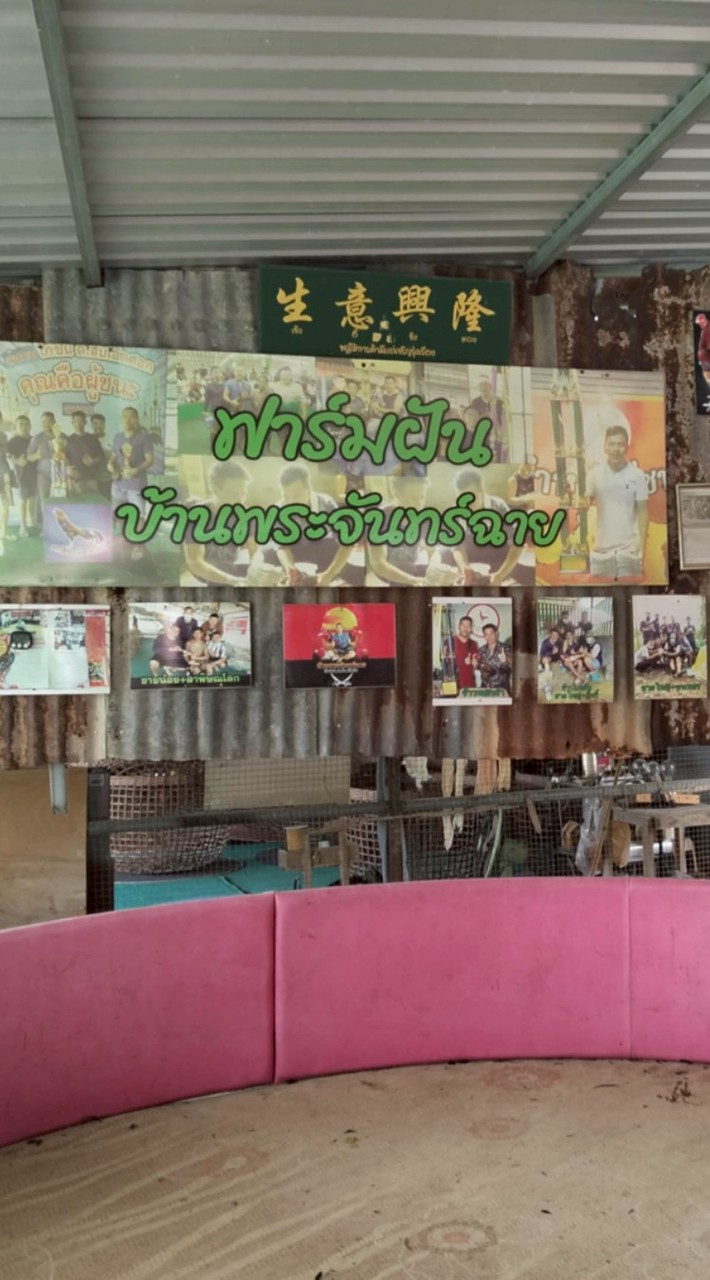 SP FARM สังกัดบ้านพระจันทร์ฉาย