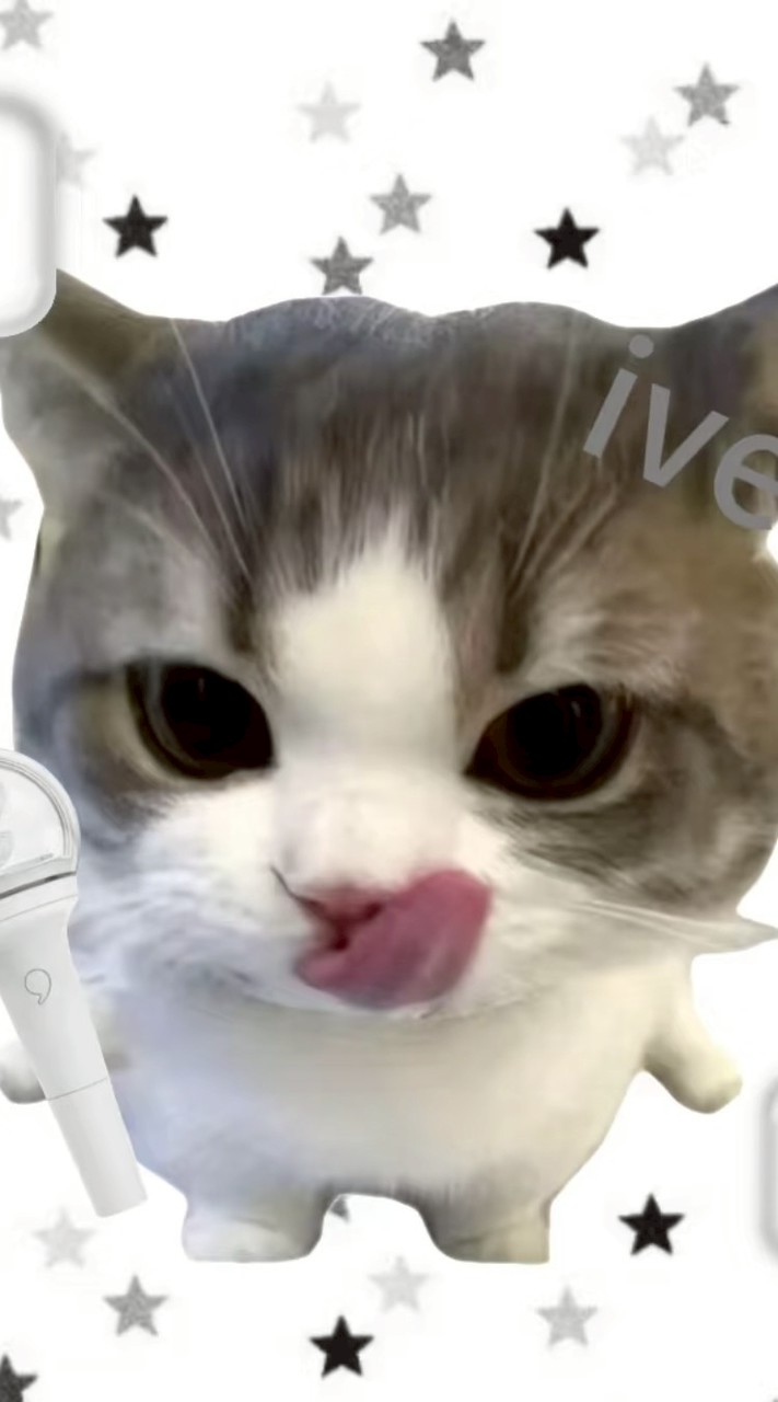 素材
