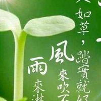 02幸運草