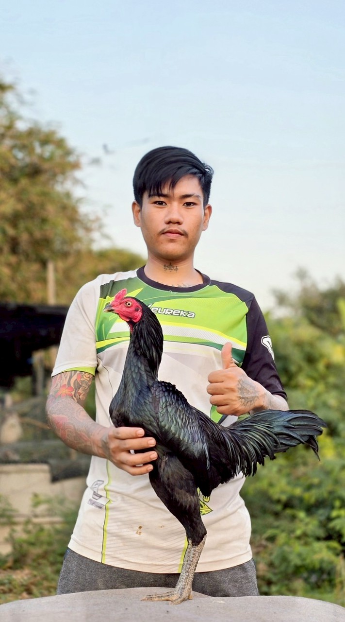 ฝากผสมเทพกุมาร