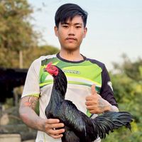 ฝากผสมเทพกุมาร