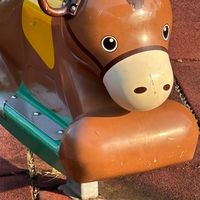 浦安Parkrun行く人ー