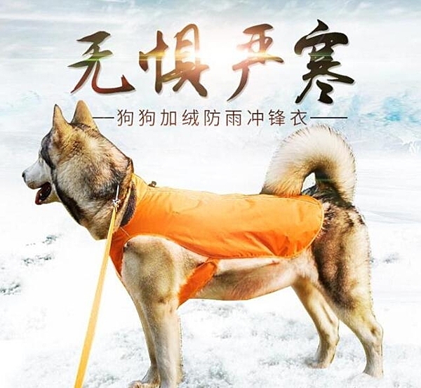 寵物衣服秋冬 泰迪狗狗馬甲背心 金毛沖鋒衣加絨防水雨衣狗狗