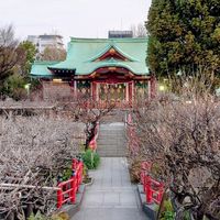 亀戸LOVERS🐢〜情報交換・グルメ・おすすめ広場〜
