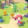 学生限定‼️ぽこあポケモン雑談オプー