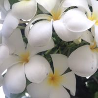 ธรรมชาติบำบัด