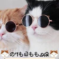 🐱のণも௰もも௮Ձ🐱