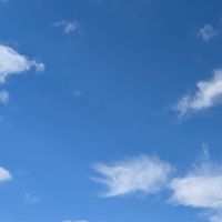 つつじが丘１·２丁目自治会