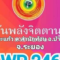 WP246 ผู้ประสานงาน