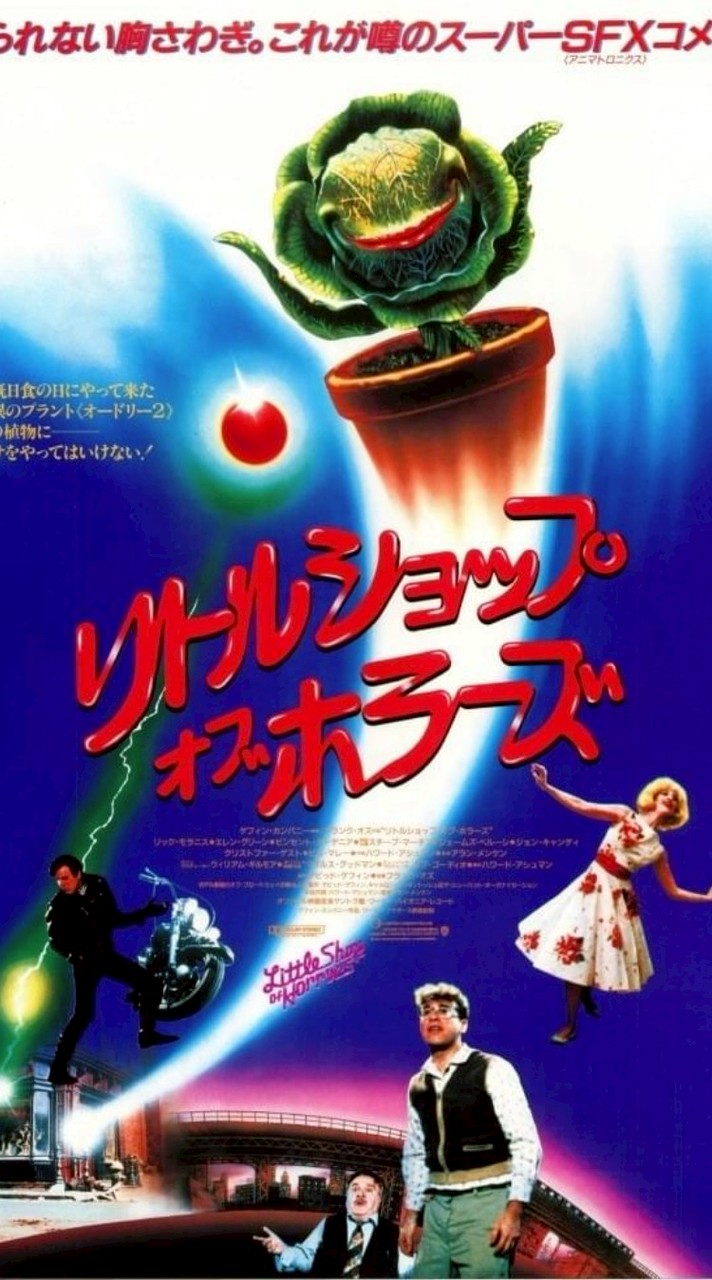 🎬🎵音楽と映画の集い🎵🎬