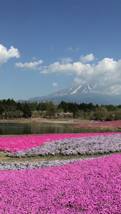 旅遊記事本