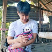 โรงเรียนหมีน้อย🥺❤️‍🩹