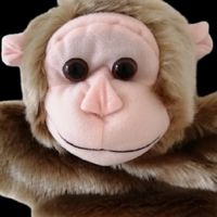 サルでもわかる！自己管理グループ