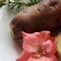 林瑞自然蔬食愛健康