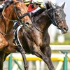 慈恵医大競馬研究会 ウマ研