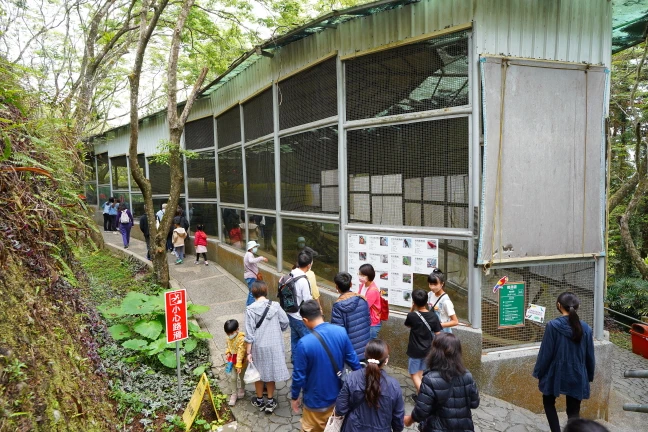 中部景點,南投景點,南投親子景點,國立自然科學博物館鳳凰谷鳥園生態園區,鳳凰谷鳥園,鳳凰谷鳥園生態園區