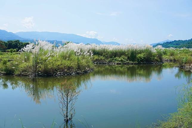 圖片來源：攝影師徐世超