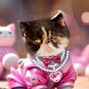 💙わんにゃん🦮🐈️💕倶楽部