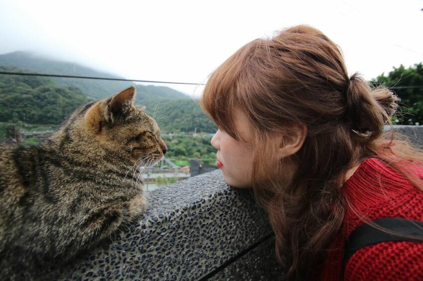 不厭亭 【雙溪九份】不厭亭 | 寂寞公路附近景點＆美食＆交通怎麼去｜日出日落、夜景、秋天芒草 4 2022