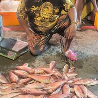 深澳漁港現撈海鮮船釣報名