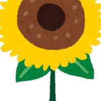 たかみちかSNS拡散隊🌻ノート必読🌻