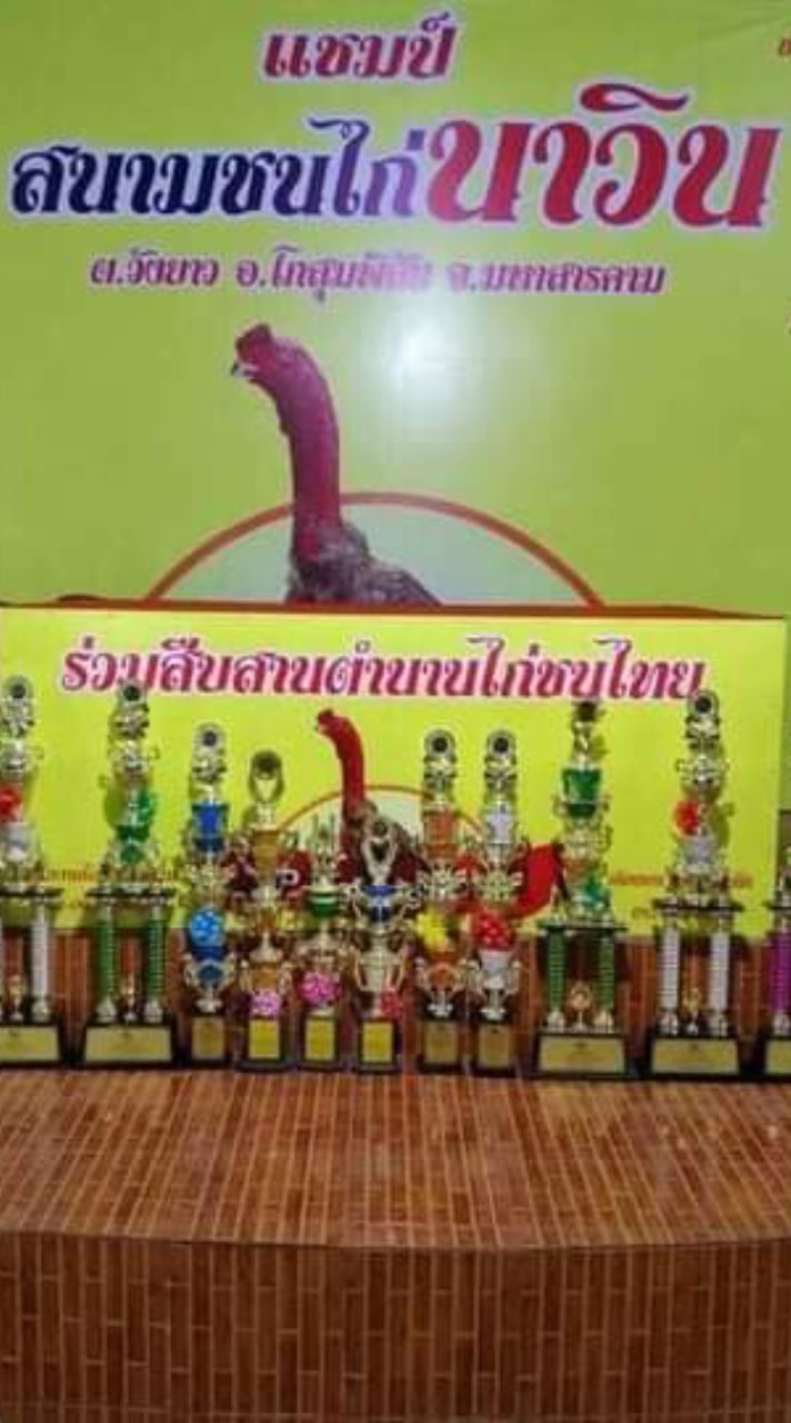 สนามไก่นาวิน จ.มหาสารคาม