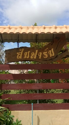 ตลาดซื้อไก่ชนส้มฟาร์ม