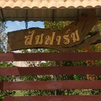 ตลาดซื้อไก่ชนส้มฟาร์ม