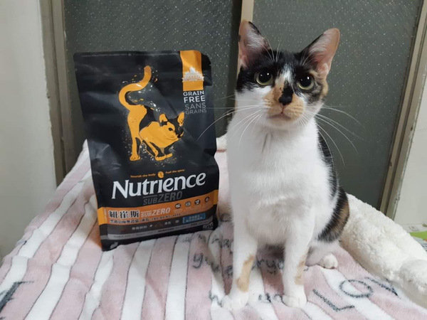 貓飼料推薦-貓奴必備紐崔斯Nutrience 頂級無穀飼料 凍乾系列 成貓無穀 火雞肉+雞肉+鮭魚 2.27kg 開箱分享