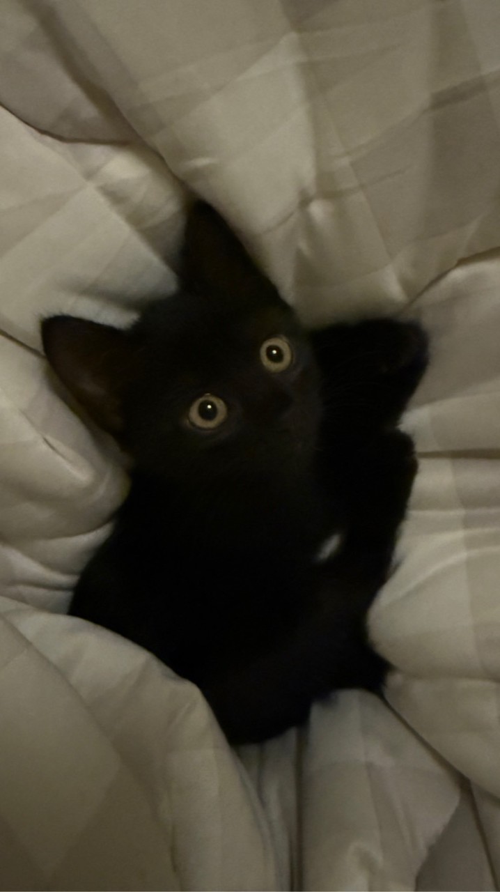 赫茲超好買😻