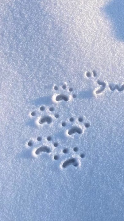 เเจ้งเลขพัสดุ (ร้านเบ้บ)