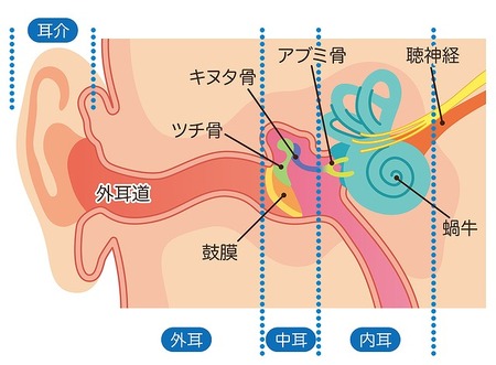 子供に多い 耳の病気 症状別まとめ 原因 気づき方 予防法も