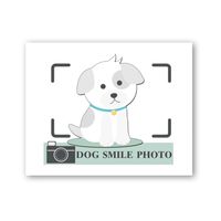 Dog Smile Photo