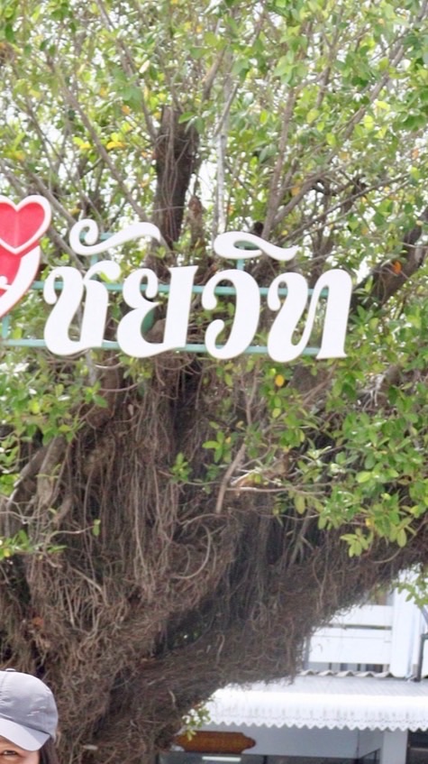 ฝ่ายวิชาการ โรงเรียนชัยบาดาลวิทยา