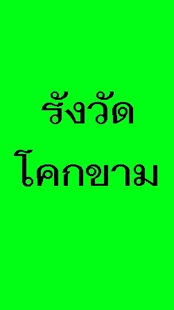 ติดตามงานรังวัดนิคมโคกขาม