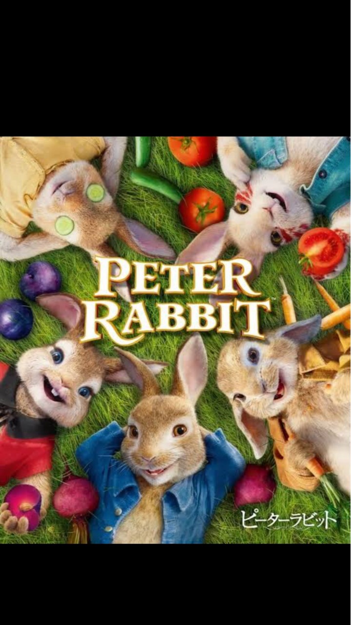 ピーターラビットが好き🐇💛