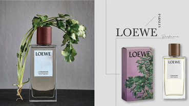 LOEWE「香菜香氛」超狂登場，完整呈現自然香菜味！加碼精品「香菜香水清單」推薦～