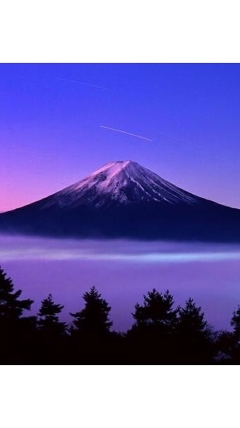 【232】ファンクラブ