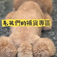 毛孩兒星樂園—貓狗補貨區（飼料、罐頭、零食）